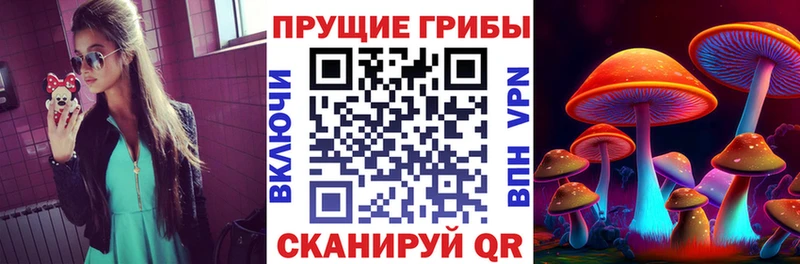 Галлюциногенные грибы мицелий  Тихвин 