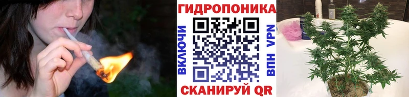 продажа наркотиков  Тихвин  Шишки марихуана OG Kush 